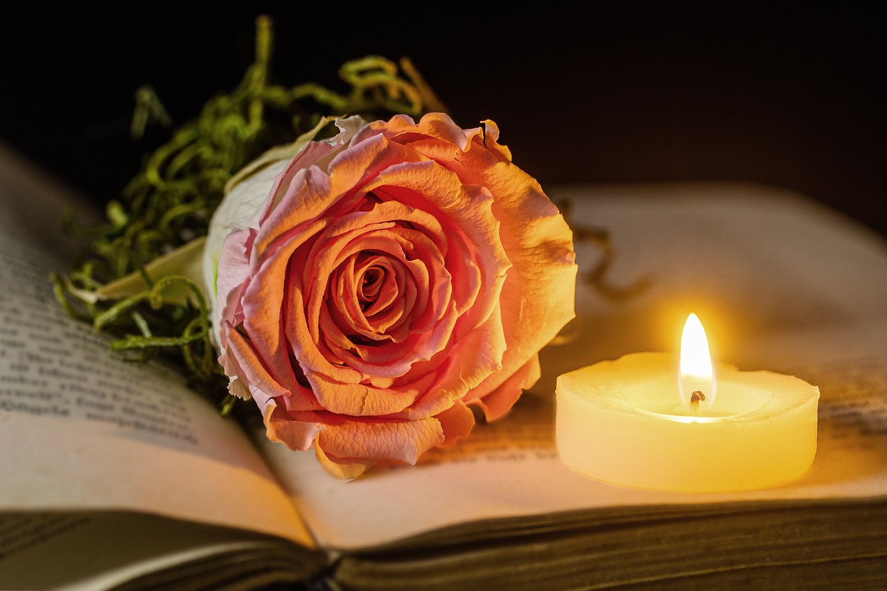 rose, candle, a book